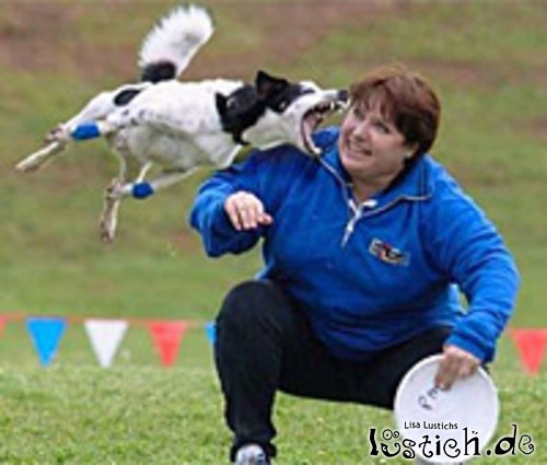 Angriffslustiger Hund Angriffslustiger Hund