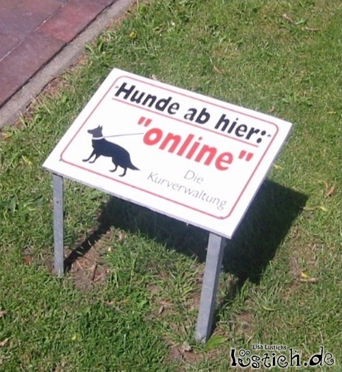 Witzige bilder lustige fotos