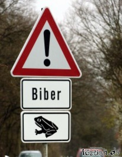 Bieberkröten Bieberkröten