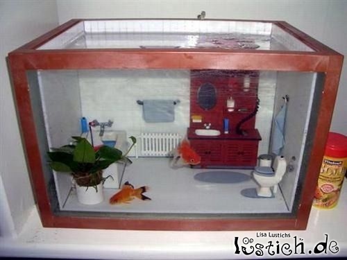 Badezimmer-Aquarium