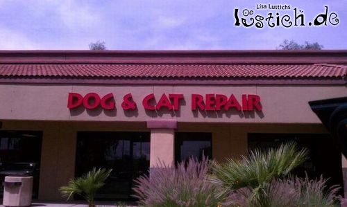 Reparatur von Hunden und Katzen