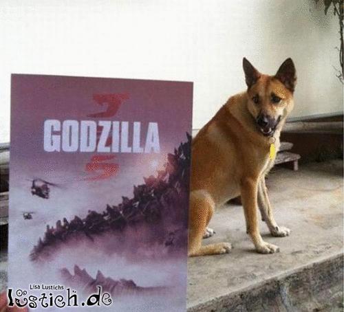 Godzilla Hund