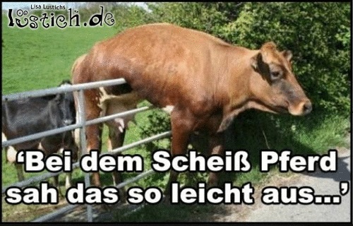 Kleiner Sprung