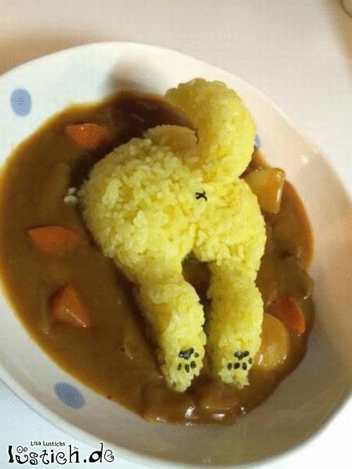 Hundesuppe Bild