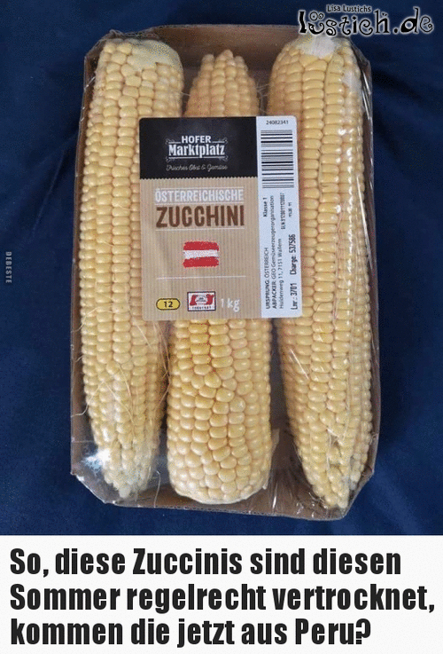 Österreichische Zucchini