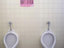 Auf dem Damen WC