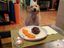 Leckeres Essen
