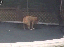 Das neue Trampolin