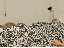 Angriff (gif)