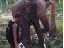 Komm mir nicht zu nahe (gif)