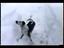 Hund im Schnee
